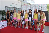 Dostihy_chrtu_Secret_Race_Greyhound_Park_Motol_2_IMG_0051.JPG