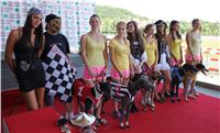 Dostihy_chrtu_Secret_Race_Greyhound_Park_Motol_2_IMG_0064.JPG