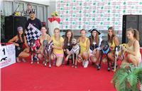 Dostihy_chrtu_Secret_Race_Greyhound_Park_Motol_2_IMG_0075.JPG