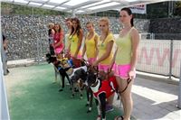 Dostihy_chrtu_Secret_Race_Greyhound_Park_Motol_2_IMG_0091.JPG