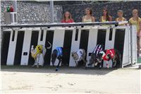 Dostihy_chrtu_Secret_Race_Greyhound_Park_Motol_2_IMG_0096.JPG