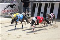 Dostihy_chrtu_Secret_Race_Greyhound_Park_Motol_2_IMG_0098.JPG