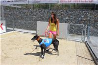 Dostihy_chrtu_Secret_Race_Greyhound_Park_Motol_2_IMG_0109.JPG