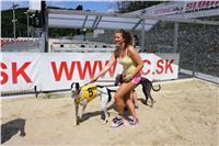 Dostihy_chrtu_Secret_Race_Greyhound_Park_Motol_2_IMG_0110.JPG