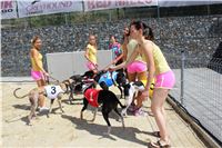 Dostihy_chrtu_Secret_Race_Greyhound_Park_Motol_2_IMG_0114.JPG