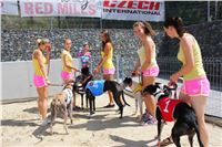 Dostihy_chrtu_Secret_Race_Greyhound_Park_Motol_2_IMG_0116.JPG