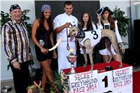 Dostihy_chrtu_Secret_Race_Greyhound_Park_Motol_2_IMG_0128.JPG