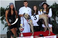 Dostihy_chrtu_Secret_Race_Greyhound_Park_Motol_2_IMG_0143.JPG