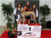 Dostihy_chrtu_Secret_Race_Greyhound_Park_Motol_2_IMG_0326.JPG