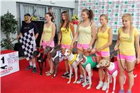 Dostihy_chrtu_Secret_Race_Greyhound_Park_Motol_2_IMG_9945.jpg