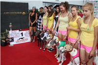 Dostihy_chrtu_Secret_Race_Greyhound_Park_Motol_2_IMG_9953.JPG