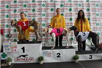 Dostihy_chrtu_zavody_slapadel_chrti_zavodiste_Greyhound_Park_Motol_2_IMG_0588.jpg