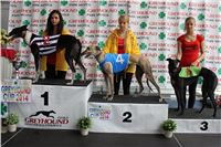 Dostihy_chrtu_zavody_slapadel_chrti_zavodiste_Greyhound_Park_Motol_IMG_0644.JPG