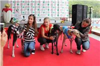 Dostihy_chrtu_zavody_slapadel_chrti_zavodiste_Greyhound_Park_Motol_IMG_0649.JPG