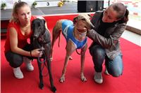 Dostihy_chrtu_zavody_slapadel_chrti_zavodiste_Greyhound_Park_Motol_IMG_0650.JPG