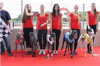 Dostihy_chrtu_zavody_slapadel_chrti_zavodiste_Greyhound_Park_Motol_IMG_0659.JPG