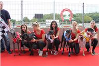 Dostihy_chrtu_zavody_slapadel_chrti_zavodiste_Greyhound_Park_Motol_IMG_0663.JPG