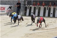 Dostihy_chrtu_zavody_slapadel_chrti_zavodiste_Greyhound_Park_Motol_IMG_0681.JPG