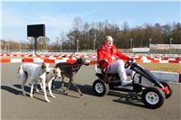 1_Jogging_Greyhound_Park_Motol_Prague_IMG_IMG_8418.jpg