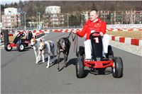 3_Jogging_Greyhound_Park_Motol_Prague_IMG_IMG_8432.JPG