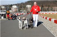 Jogging_Greyhound_Park_Motol_Prague_IMG_IMG_8401.JPG