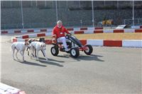 Jogging_Greyhound_Park_Motol_Prague_IMG_IMG_8413.JPG