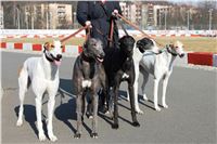 Jogging_Greyhound_Park_Motol_Prague_IMG_IMG_8477.JPG
