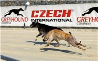 First_Solo_Racing_2015_Greyhound_Park_Motol_77.jpg