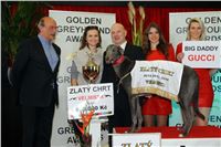 2_Greyhound_Park_Motol_Golden_Greyhound_Awards_Chrti_Oskari_PANK2149_resize.jpg