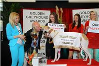 4_Greyhound_Park_Motol_Golden_Greyhound_Awards_Chrti_Oskari_PANK2323_resize.jpg