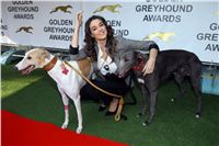 6_Greyhound_Park_Motol_Golden_Greyhound_Awards_Chrti_Oskari_PANK1970_resize.jpg