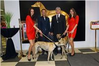Greyhound_Park_Motol_Golden_Greyhound_Awards_Chrti_Oskari_PANK1764_resize.jpg