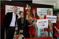 Greyhound_Park_Motol_Golden_Greyhound_Awards_Chrti_Oskari_PANK2215_resize.jpg