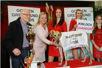 Greyhound_Park_Motol_Golden_Greyhound_Awards_Chrti_Oskari_PANK2255_resize.jpg
