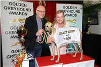 Greyhound_Park_Motol_Golden_Greyhound_Awards_Chrti_Oskari_PANK2269_resize.jpg