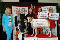 Greyhound_Park_Motol_Golden_Greyhound_Awards_Chrti_Oskari_PANK2309_resize.jpg