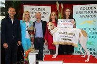 Greyhound_Park_Motol_Golden_Greyhound_Awards_Chrti_Oskari_PANK2341_resize.jpg