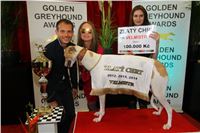 Greyhound_Park_Motol_Golden_Greyhound_Awards_Chrti_Oskari_PANK2351_resize.jpg