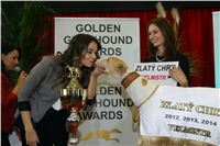 Greyhound_Park_Motol_Golden_Greyhound_Awards_Chrti_Oskari_PANK2359_resize.jpg