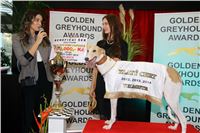 Greyhound_Park_Motol_Golden_Greyhound_Awards_Chrti_Oskari_PANK2368_resize.jpg
