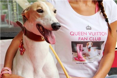 Queen_VUITTON_Fan_Club_Greyhound_Park_Motol_Prague_Racing_IMG_3359_vv.JPG