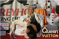 Puppy_Praskacka_9_Mikulas_Greyhoun_raceNQ1M0398-v-u.jpg
