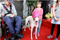 QUEEN_VUITTON_FAN_CLUB_Greyhound_Park_Motol_Prague_565.jpg