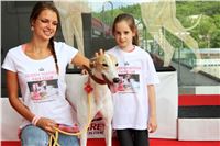 Queen_VUITTON_Fan_Club_Greyhound_Park_Motol_Prague_Racing_IMG_3459_v.jpg