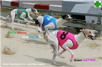 Queen_Vuitton_Cool_Dolce_White_Elbony_Greyhound_Park_Motol_Prague_Czech_Racing_NQ1M0774.JPG