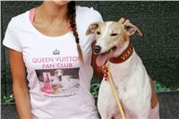 Queen_Vuitton_Fan_Club_Czech_Greyhound_Racing_Greyhound_Park_Motol_Prague_NQ1M0669_r.jpg
