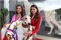 Dostihy_chrtu_GRAND_PRIX_2015_Greyhound_Park_Motol_Prague_IMG_4089.JPG