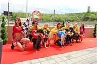 Dostihy_chrtu_GRAND_PRIX_2015_Greyhound_Park_Motol_Prague_IMG_4141.JPG