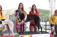 Dostihy_chrtu_GRAND_PRIX_2015_Greyhound_Park_Motol_Prague_IMG_4173.JPG