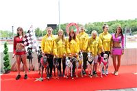 Dostihy_chrtu_GRAND_PRIX_2015_Greyhound_Park_Motol_Prague_IMG_4206.JPG